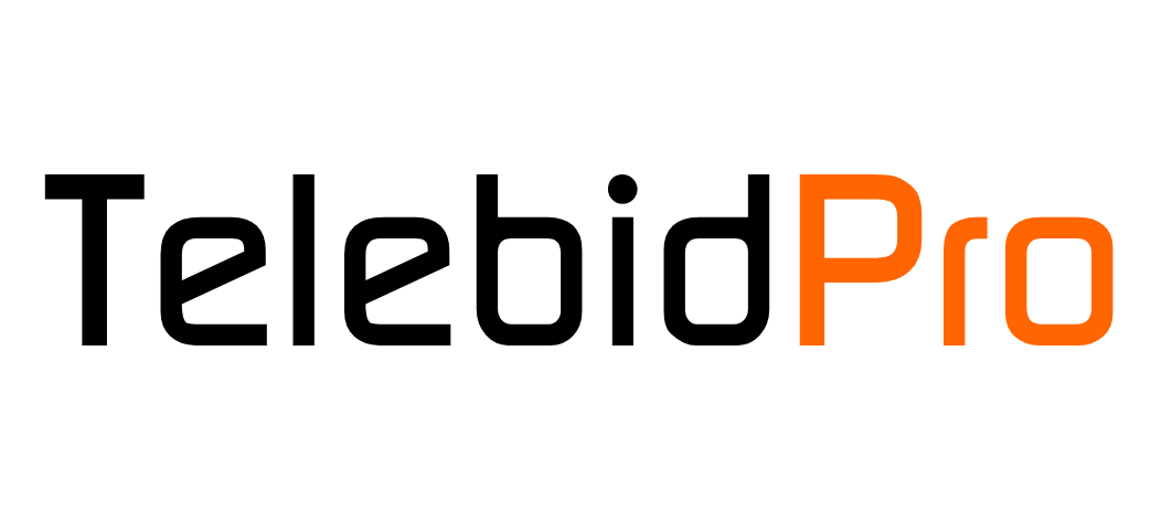 Телебид Про